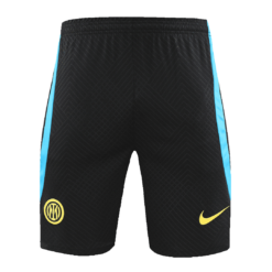Inter Milan Soccer Shorts 2023/24